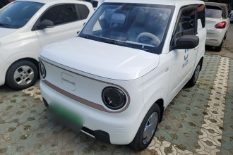 吉利银河 2023款 熊猫mini 200km 耐力熊