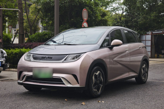 比亚迪 海豚 2021款 405km 时尚版