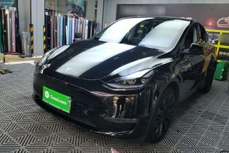 特斯拉 Model Y 2021款 标准续航后驱版