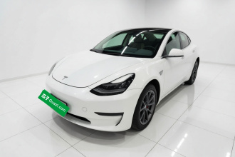 特斯拉 Model 3 2020款 改款 长续航后轮驱动版