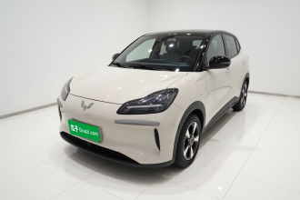 五菱汽车 五菱缤果PLUS 2024款 330km 五座版