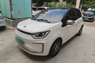 思皓 2022款 花仙子款 四叶草