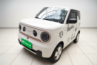吉利银河 2024款 熊猫mini 200km 耐力熊
