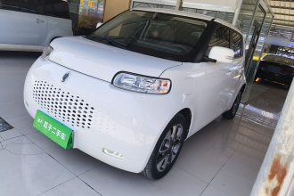 欧拉白猫 2020款 305km 豪华型