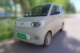 五菱汽车 宏光MINIEV 2024款 第三代 215km 青春版