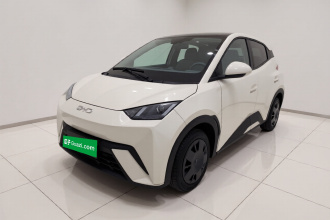 比亚迪 海鸥 2024款 荣耀版 305km 活力版