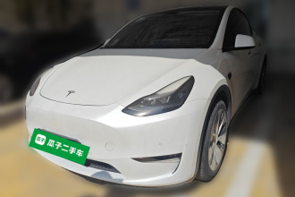 特斯拉 Model Y 2021款 标准续航后驱版