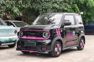 吉利银河 2024款 200km 熊猫卡丁