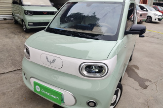 五菱汽车 宏光MINIEV 2024款 第三代 215km 青春版