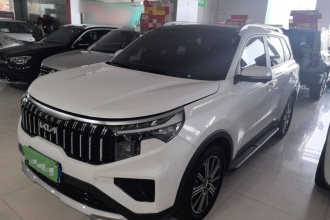 起亚 智跑 2021款 Ace 2.0L 精彩版