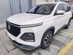 宝骏530 2021款 全球车周年纪念版 1.5T 手动豪华型 6座