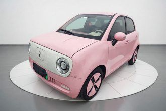 欧拉黑猫 2021款 301km 萌宠版