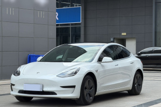 特斯拉 Model 3 2020款 改款 标准续航后驱升级版