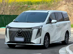 广汽传祺 传祺M8 2024款 大师系列 400T 尊贵版