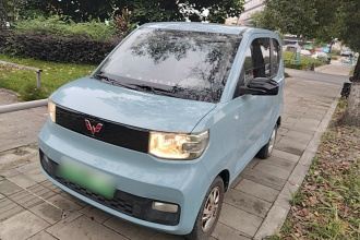 五菱汽车 宏光MINIEV 2020款 轻松款 磷酸铁锂
