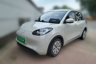五菱汽车 五菱缤果 2023款 333km 快享款