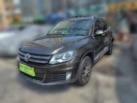 大众 途观 2015款 1.8TSI 自动两驱豪华型