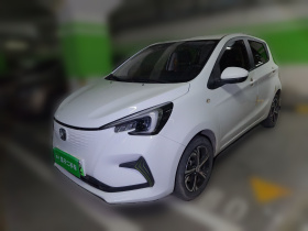 长安 奔奔E-Star 2020款 心悦版 三元锂