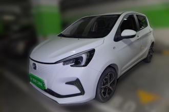 长安 奔奔E-Star 2020款 心悦版 三元锂