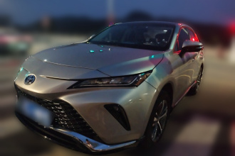 丰田 威飒 2023款 2.0L CVT两驱豪华版