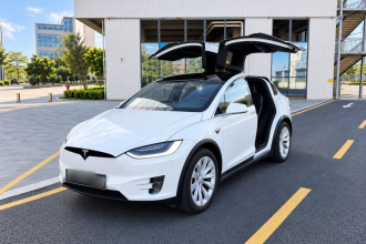 特斯拉 Model X 2019款 长续航版