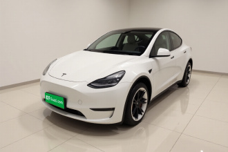 特斯拉 Model Y 2021款 标准续航后驱版