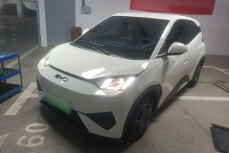 比亚迪 海鸥 2025款 智驾版 305km 活力版