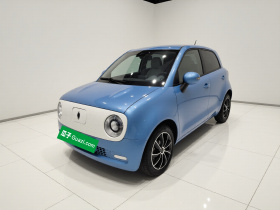 欧拉黑猫 2019款 310km 灵趣版