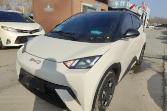 比亚迪 海鸥 2024款 荣耀版 305km 自由版