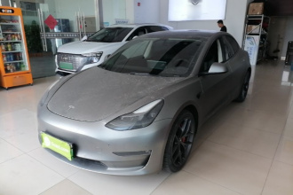 特斯拉 Model 3 2021款 Performance高性能全轮驱动版 3D6