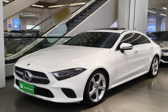 奔驰CLS 2018款 CLS 300 动感型