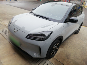 五菱汽车 五菱缤果PLUS 2024款 510km 五座版