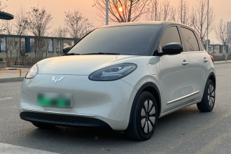 五菱汽车 五菱缤果 2024款 333km 灵犀互联款