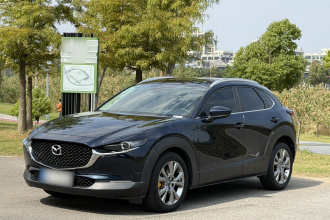 马自达CX-30 2020款 2.0L 自动雅悦型