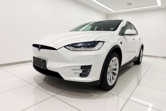 特斯拉 Model X 2020款 长续航升级版