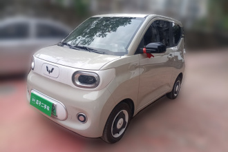 五菱汽车 宏光MINIEV 2024款 第三代 215km 青春版