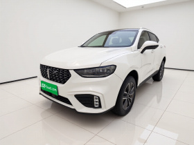魏牌 VV5 2020款 1.5T 两驱智先锋