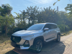 宝骏RS-5 2019款 1.5T CVT智能驾控豪华版 国VI