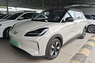 五菱汽车 五菱缤果PLUS 2024款 330km 五座版