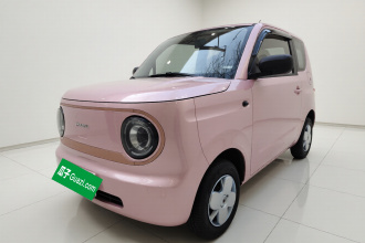 吉利银河 2024款 熊猫mini 200km 耐力熊