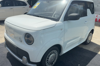 睿蓝汽车 睿蓝蓝气球 2025款 乐享版