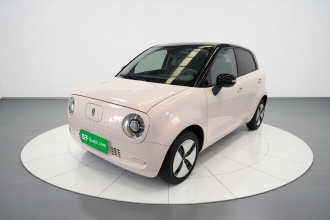 欧拉黑猫 2021款 301km 基础型