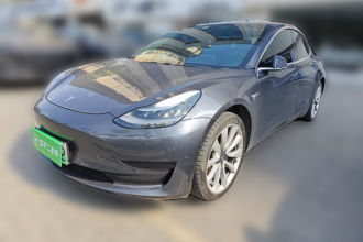 特斯拉 Model 3 2019款 标准续航后驱升级版