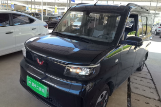 五菱汽车 五菱之光新能源 2025款 305km 进取型