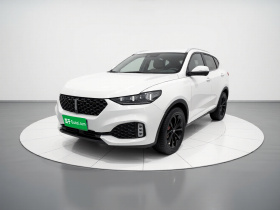 魏牌 VV6 2020款 2.0T 两驱智护+