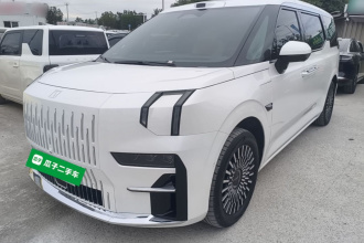 极氪009 2024款 六座行政版四驱 108kWh