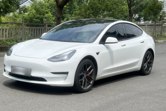 特斯拉 Model 3 2022款 Performance高性能全轮驱动版