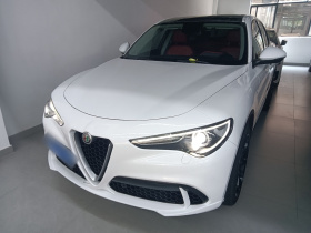 阿尔法·罗密欧 Stelvio斯坦维 2017款 2.0T 200HP 精英版