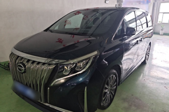 广汽传祺 传祺M8 2021款 领秀系列 390T 尊贵版