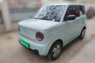 吉利银河 2024款 熊猫mini 200km 耐力熊